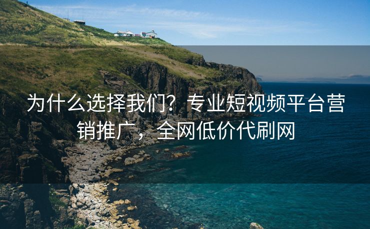为什么选择我们？专业短视频平台营销推广，全网低价代刷网