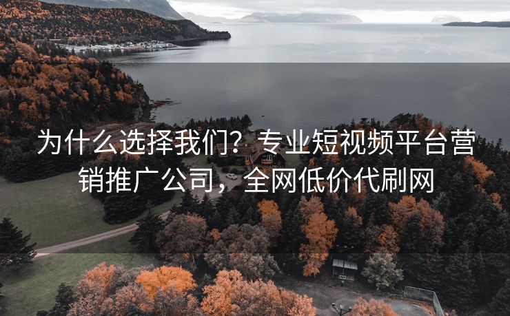 为什么选择我们？专业短视频平台营销推广公司，全网低价代刷网