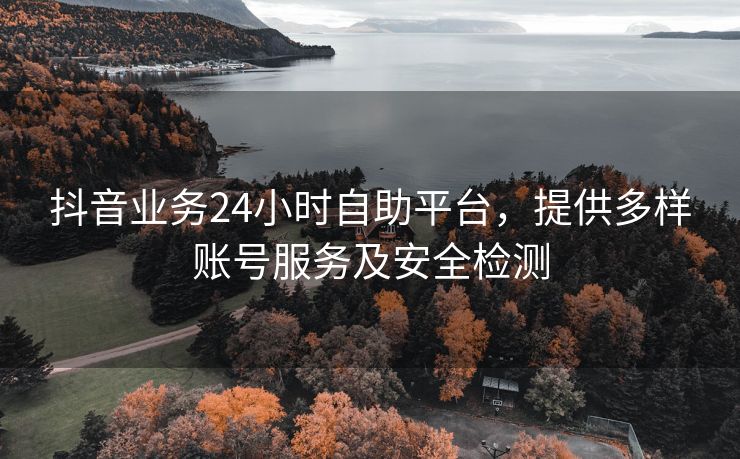抖音业务24小时自助平台，提供多样账号服务及安全检测