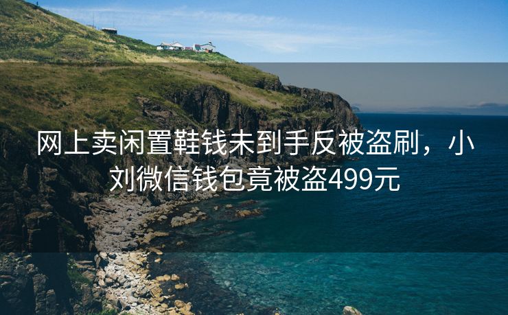 网上卖闲置鞋钱未到手反被盗刷，小刘微信钱包竟被盗499元