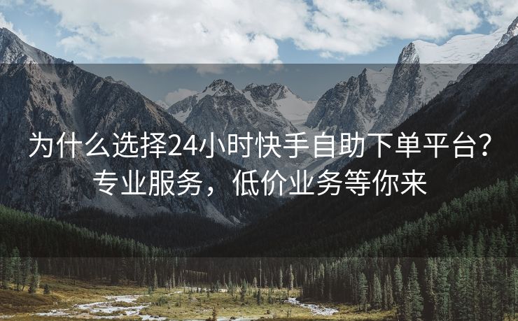 为什么选择24小时快手自助下单平台？专业服务，低价业务等你来