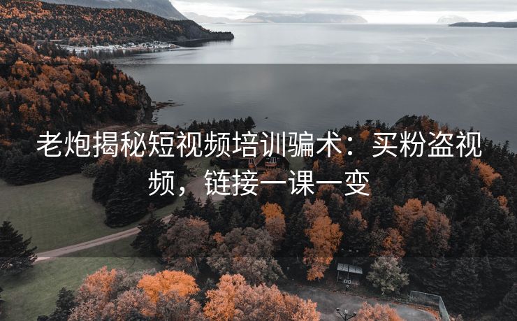 老炮揭秘短视频培训骗术：买粉盗视频，链接一课一变