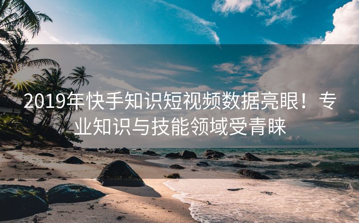 2019年快手知识短视频数据亮眼！专业知识与技能领域受青睐