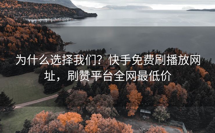 为什么选择我们？快手免费刷播放网址，刷赞平台全网最低价