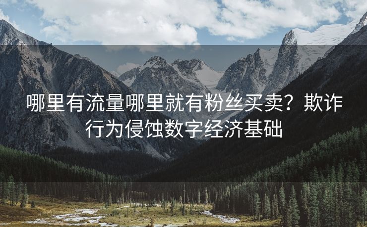 哪里有流量哪里就有粉丝买卖？欺诈行为侵蚀数字经济基础