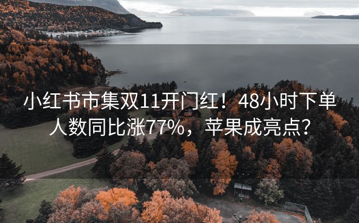 小红书市集双11开门红！48小时下单人数同比涨77%，苹果成亮点？