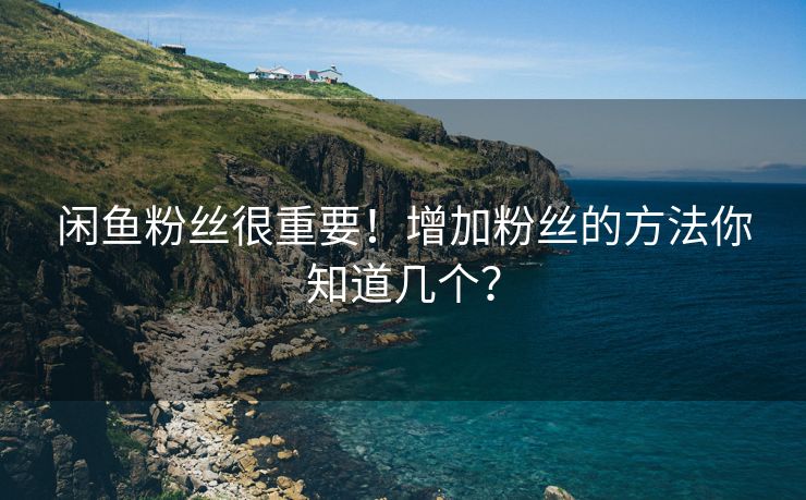 闲鱼粉丝很重要！增加粉丝的方法你知道几个？