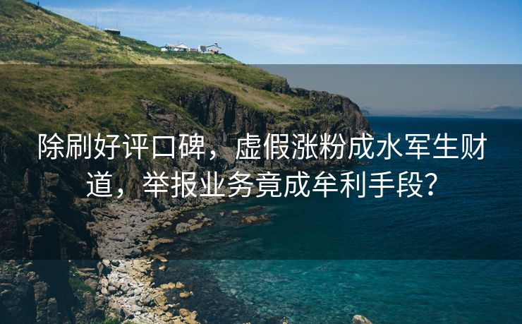 除刷好评口碑，虚假涨粉成水军生财道，举报业务竟成牟利手段？