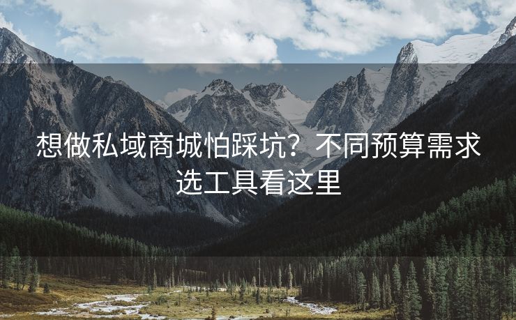 想做私域商城怕踩坑？不同预算需求选工具看这里