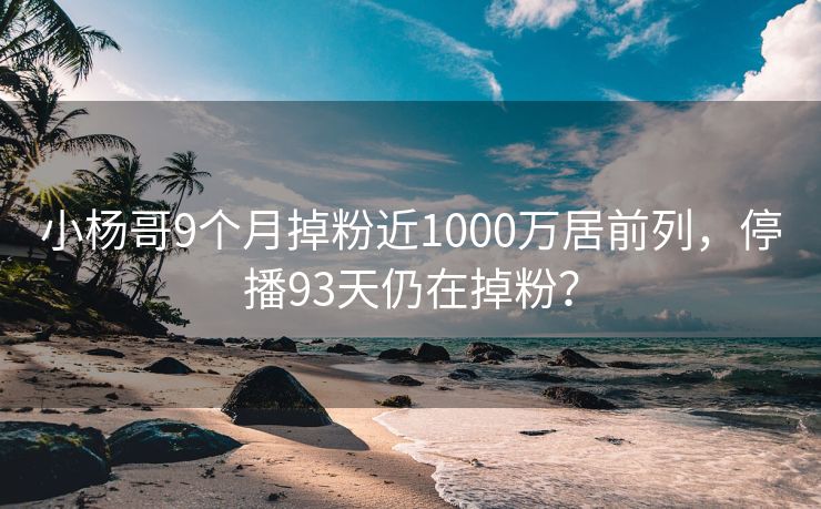 小杨哥9个月掉粉近1000万居前列，停播93天仍在掉粉？