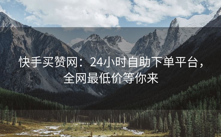 快手买赞网：24小时自助下单平台，全网最低价等你来
