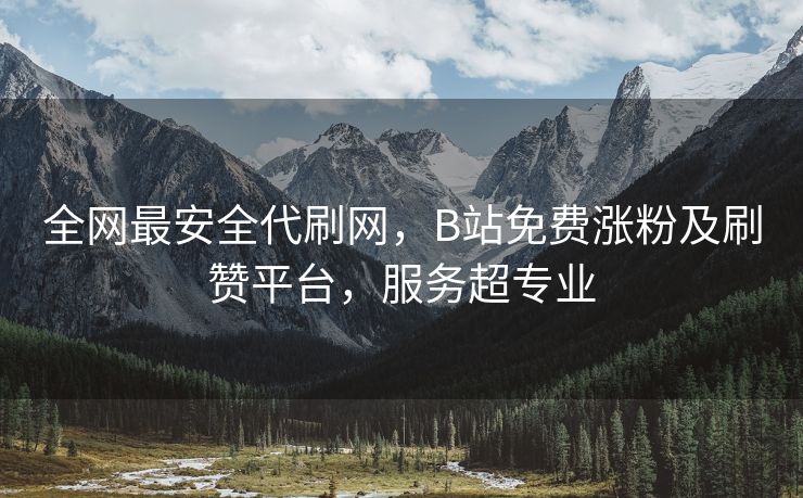 全网最安全代刷网，B站免费涨粉及刷赞平台，服务超专业
