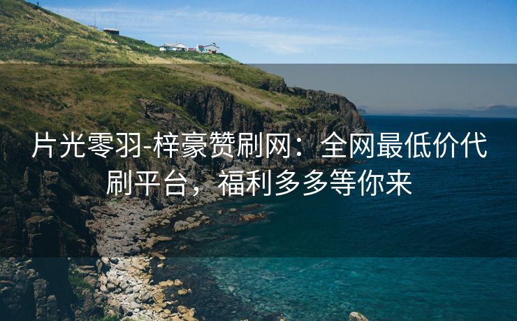 片光零羽-梓豪赞刷网：全网最低价代刷平台，福利多多等你来