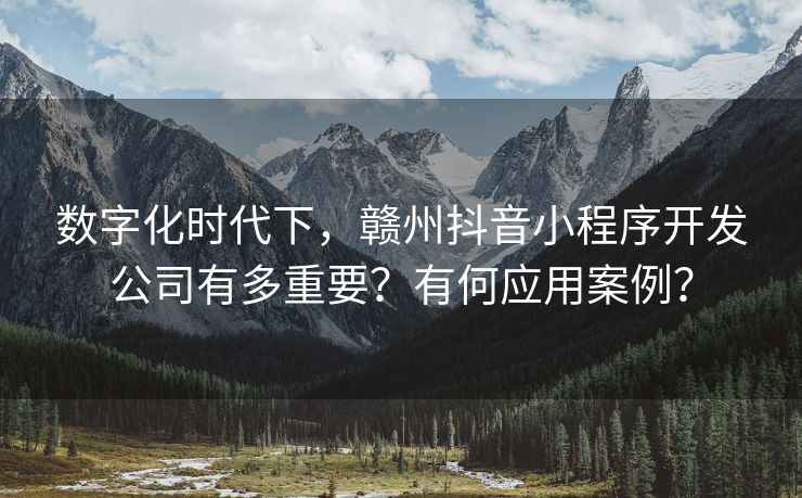 数字化时代下,赣州抖音小程序开发公司有多重要?有何应用案例?