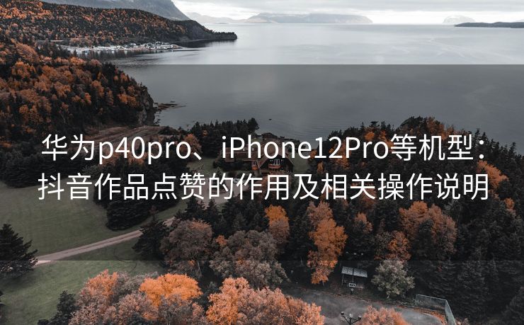 华为p40pro、iPhone12Pro等机型:抖音作品点赞的作用及相关操作说明 华为p40pro、iPhone12Pro等机型:抖音作品点赞的作用及相关操作说明