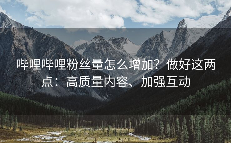 哔哩哔哩粉丝量怎么增加?做好这两点:高质量内容、加强互动 哔哩哔哩粉丝量怎么增加?做好这两点:高质量内容、加强互动